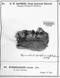 Image Associated With the Occurence